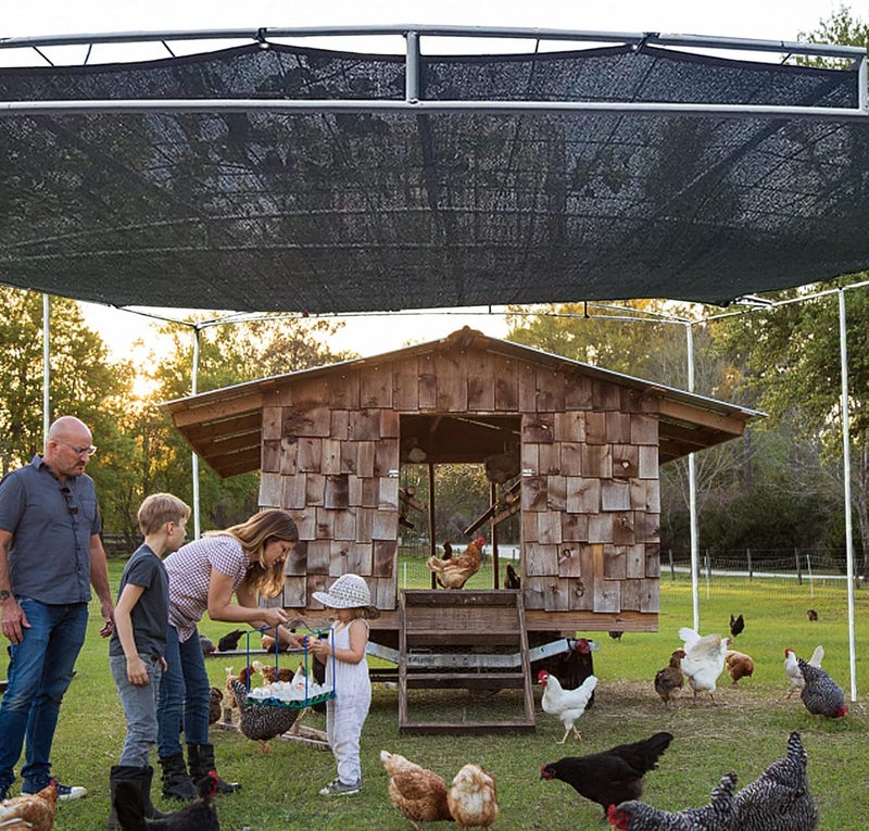 QLOFEI 12x24 FT Shade Cloth with Grommets, 90% Sunblock Outdoor Patio Mesh Tarp, Easier to Hang Neting Cover for Garden Greenhouse Pergola Lawn Kennel Pool Chicken Coop Shade Sail - Image 4
